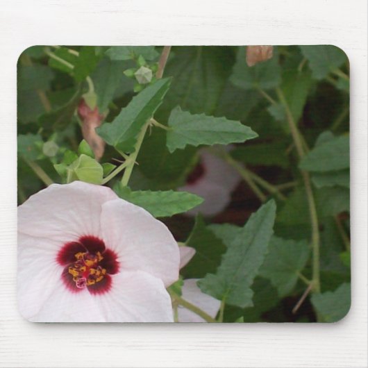 Einsame weiße Blume Mousepad (Vorne)