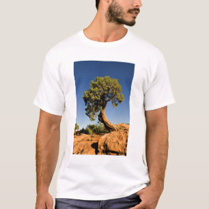 Einsame Zeder, Deadhorse Point State Park, T-Shirt