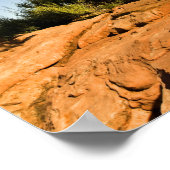 einsame Zedernhöhle, Staat Park Deadpour Point, Poster (Ecke)
