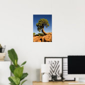 einsame Zedernhöhle, Staat Park Deadpour Point, Poster (Heimbüro)