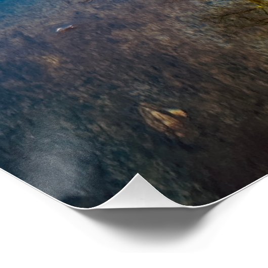 Einsamer Baum am Wasser Poster (Ecke)