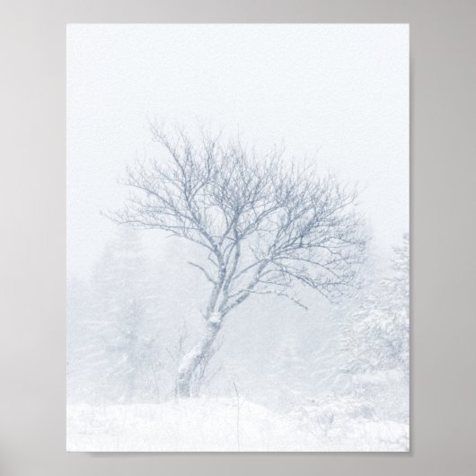 Einsamer Baum bei Schneesturm im Winter Poster (Vorne)