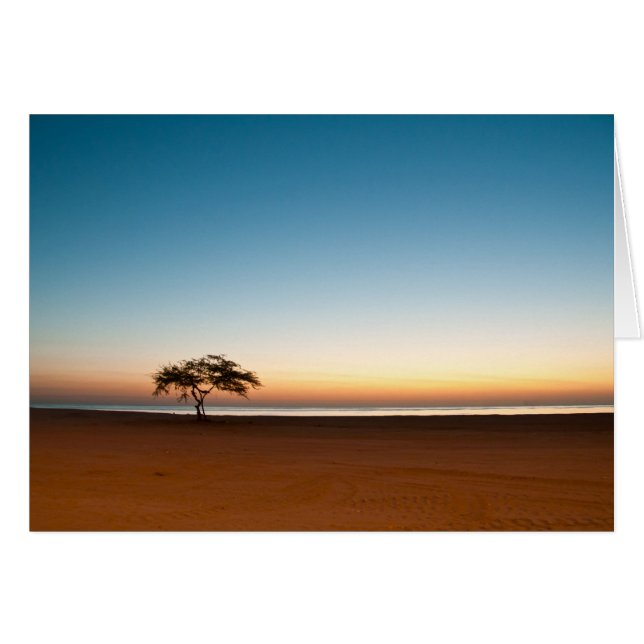 Einsamer Baum bei Sonnenaufgang in Kuwait (Vorderseite (Horizontal))