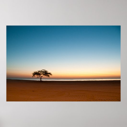 Einsamer Baum bei Sonnenaufgang in Kuwait Poster (Vorne)