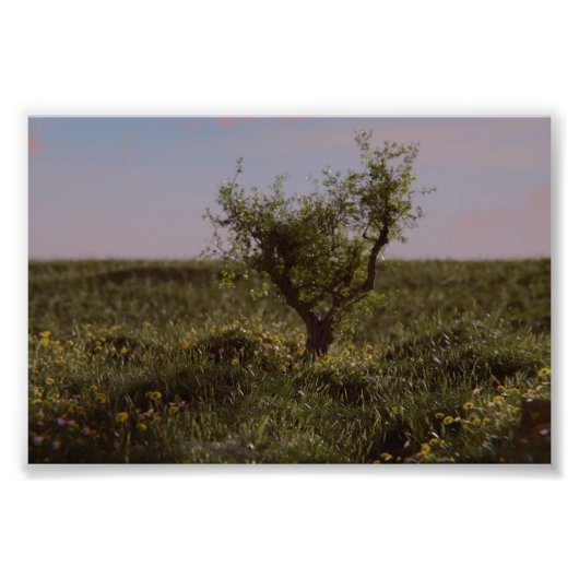 Einsamer Baum Fotodruck (Vorne)
