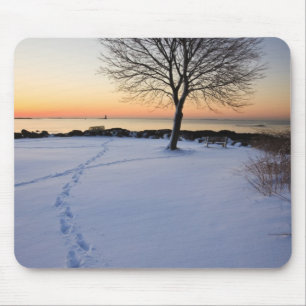 Einsamer Baum im frischen Schnee auf dem New Castl Mousepad