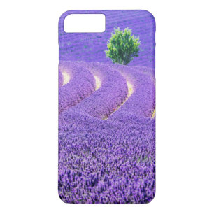 Einsamer Baum im Lavendelfeld, Frankreich Case-Mate iPhone Hülle