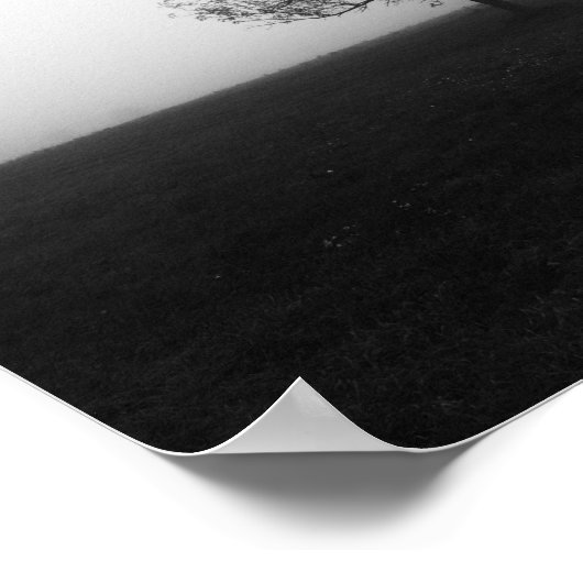 Einsamer Baum in nebelschwarz-weiß Poster (Ecke)