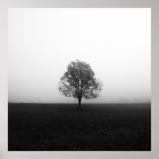Einsamer Baum in nebelschwarz-weiß Poster (Vorne)