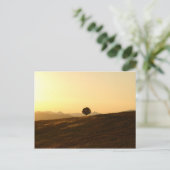einsamer Baum Postkarte (Stehend Vorderseite)