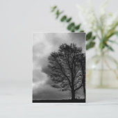 einsamer Baum Postkarte (Stehend Vorderseite)
