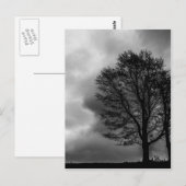 einsamer Baum Postkarte (Vorne/Hinten)