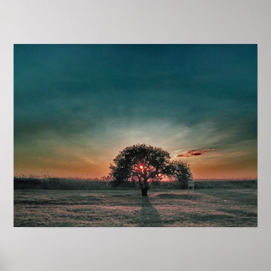 einsamer Birnbaum Poster (Vorne)