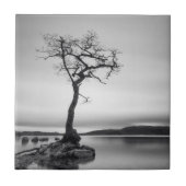 Einsamer bloßer Baum Fliese (Vorderseite)
