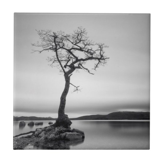 Einsamer bloßer Baum Fliese (Vorderseite)
