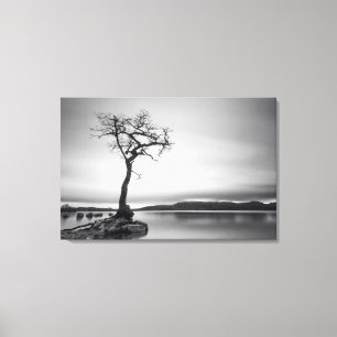 Einsamer bloßer Baum Leinwanddruck