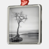 Einsamer bloßer Baum Ornament Aus Metall (Links)