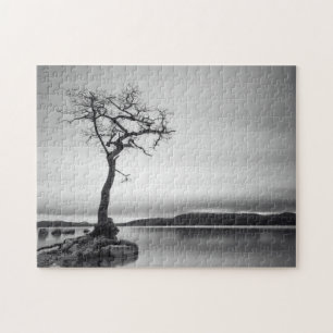 Einsamer bloßer Baum Puzzle