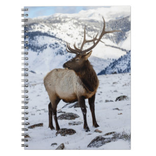 Einsamer Bullenelk im Schnee Yellowstone-Nationa Notizblock