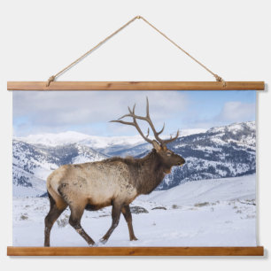 Einsamer Bullenelk Yellowstone-Nationalpark Wandteppich Mit Holzrahmen
