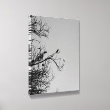 Einsamer Kolibri
