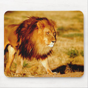 Einsamer Löwe Mousepad