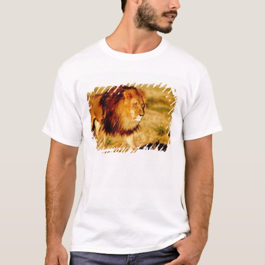 Einsamer Löwe T-Shirt (Vorderseite)