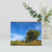 Einsamer Mandarinbaum Postkarte (Stehend Vorderseite)