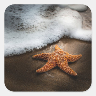 Einsamer Starfish am Strand Quadratischer Aufkleber