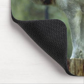 Einsamer Wolf Mousepad (Ecke)