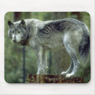 Einsamer Wolf Mousepad