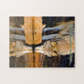 Einsamer Wolf spiegelt sich im Teich Puzzle (Horizontal)