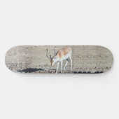 Einsames Antilopenkalb, Skateboard (Horizontal)
