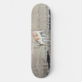 Einsames Antilopenkalb, Skateboard (Vorderseite)