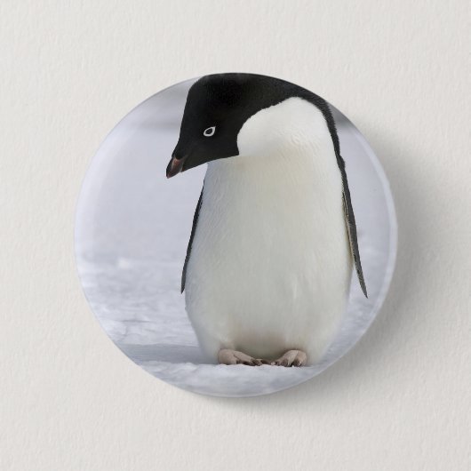 Einsames Penguin-Button Button (Vorderseite)