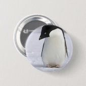 Einsames Penguin-Button Button (Vorne & Hinten)