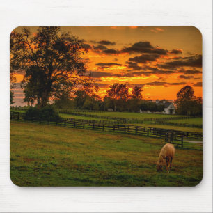 Einsames Pferd bei Sonnenuntergang Mousepad