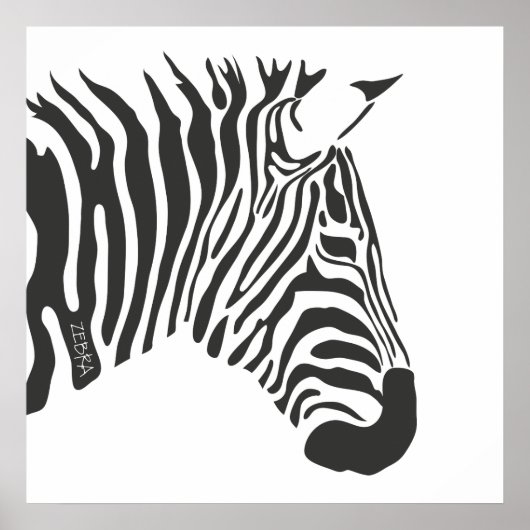 Einsames Zebra Poster (Vorne)