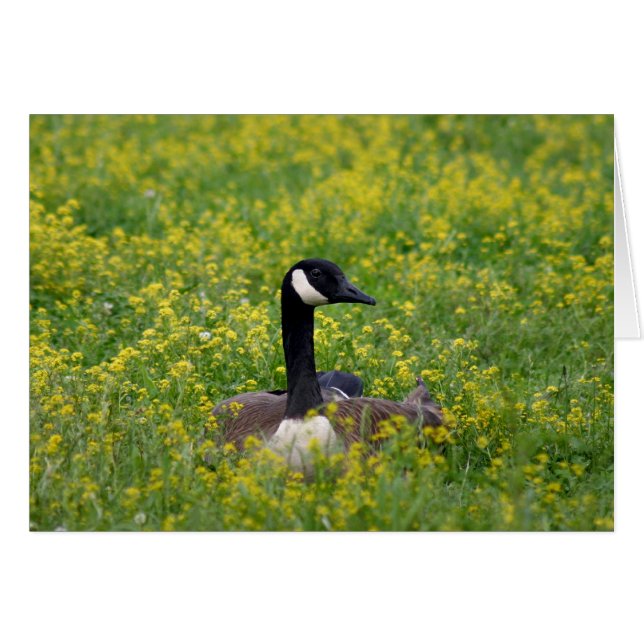 Einsamkeit (Vorderseite (Horizontal))