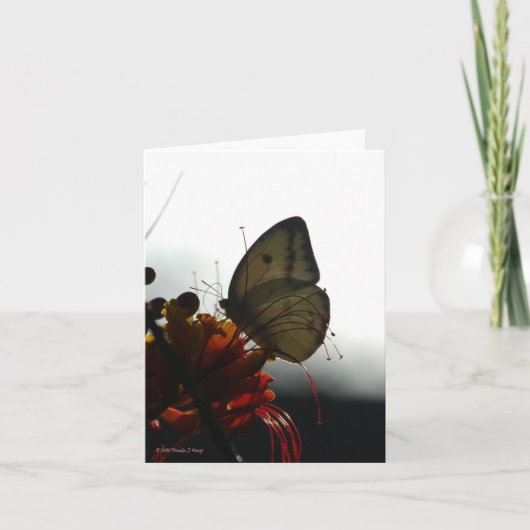 EINSAMKEIT 5 KARTE (Vorderseite)