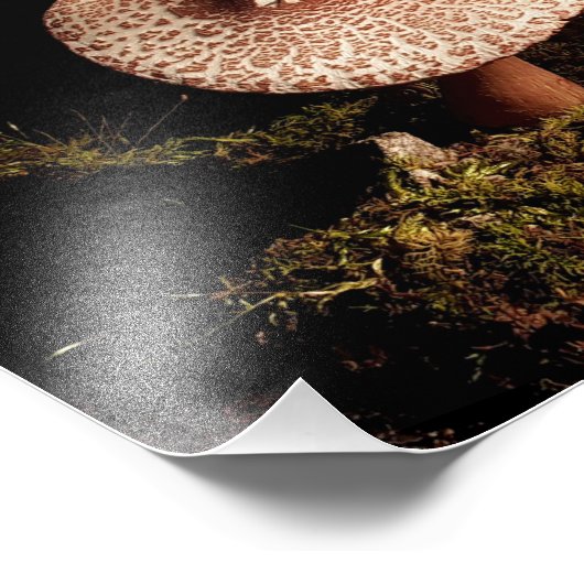 Einsamkeit Fotodruck (Ecke)