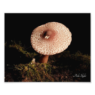 Einsamkeit Fotodruck