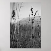 Einsamkeit Poster (Vorne)