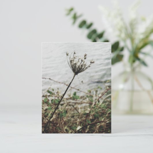 Einsamkeit Postkarte (Stehend Vorderseite)