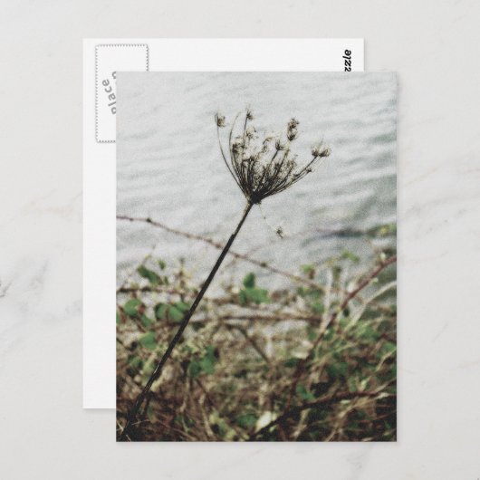 Einsamkeit Postkarte (Vorne/Hinten)