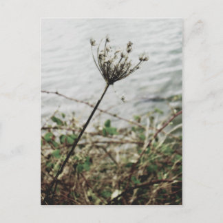 Einsamkeit Postkarte