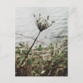 Einsamkeit Postkarte (Vorderseite)