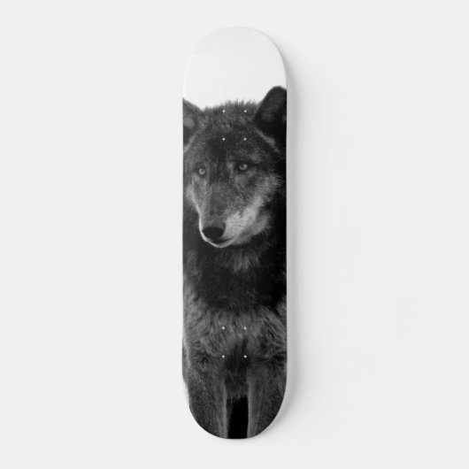 "Einsamkeits-" Skateboard (Vorderseite)