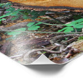 Einsammeln eines Waldes Fotodruck (Ecke)