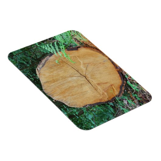 Einsammeln eines Waldes Magnet (Rechte Seite)